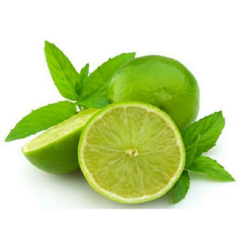 

Jeruk nipis fresh 1000gr 1kg kaya manfaat