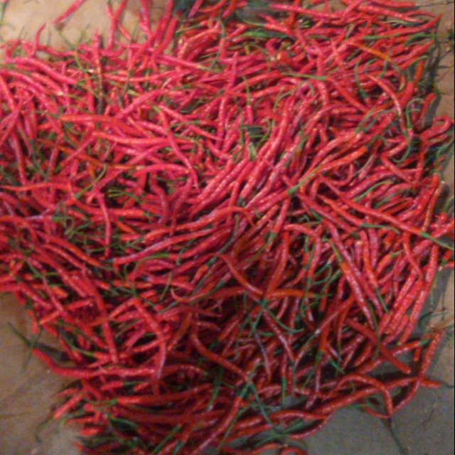 

Cabe keriting super duper