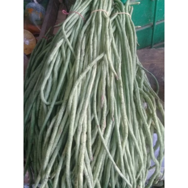 

KACANG PANJANG 100 gr