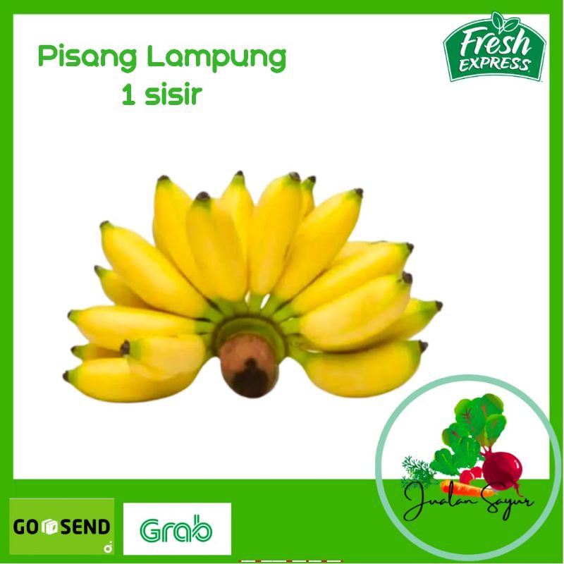 

Pisang Lampung Buah Segar Matang Pasar Murah 1Sisir