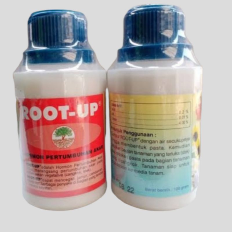 Root Up perangsang Akar