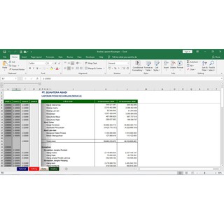 Program Excel Analisa Rasio Laporan Keuangan | Shopee Indonesia