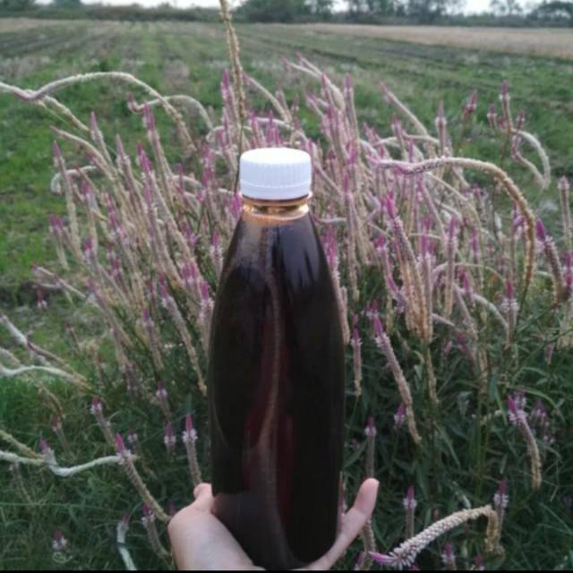 

Madu Murni Hitam Pahit