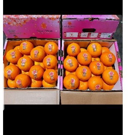 jeruk mandarin sakura jepang kotak pink berat 5kg