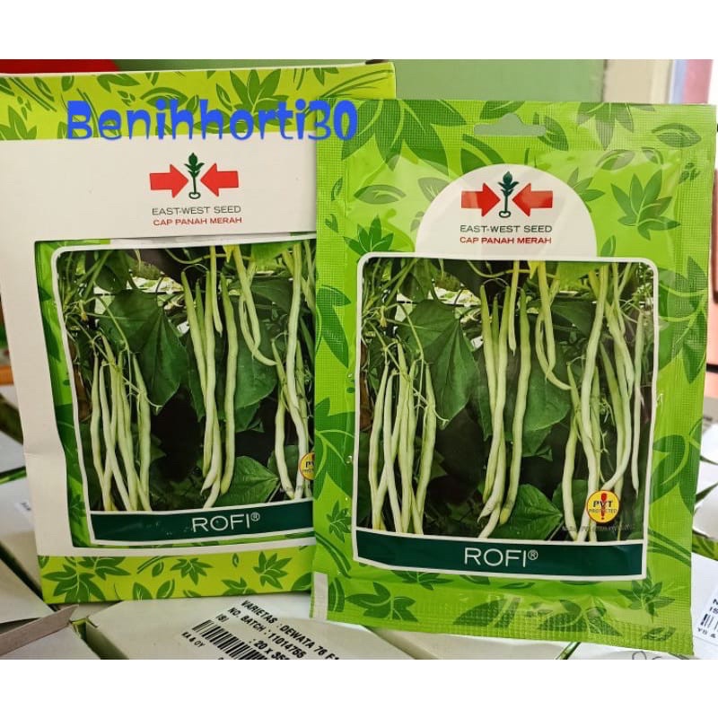 Benih Buncis Rofi isi 25 butir