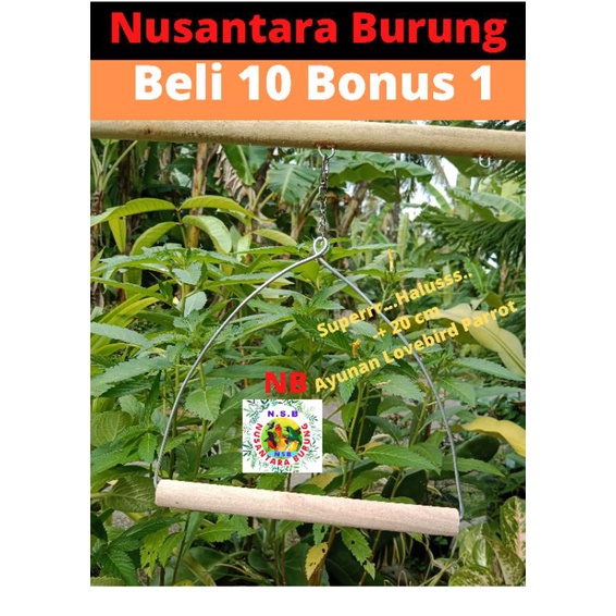 AYUNAN MAINAN TANGKRINGAN BURUNG LOVEBIRD