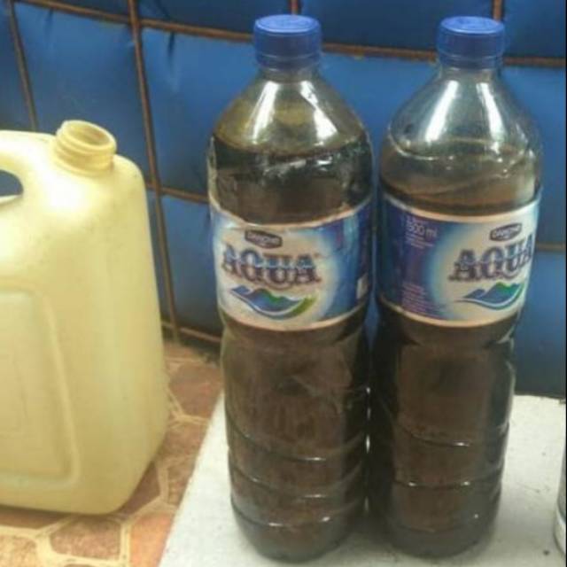 Tetes Tebu