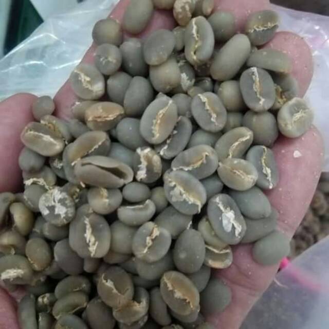 

Kopi robusta dari enrekang