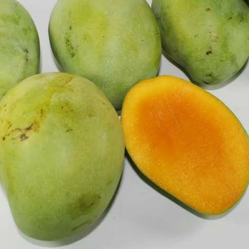 

15kg mangga asli Indramayu manis 100% original
