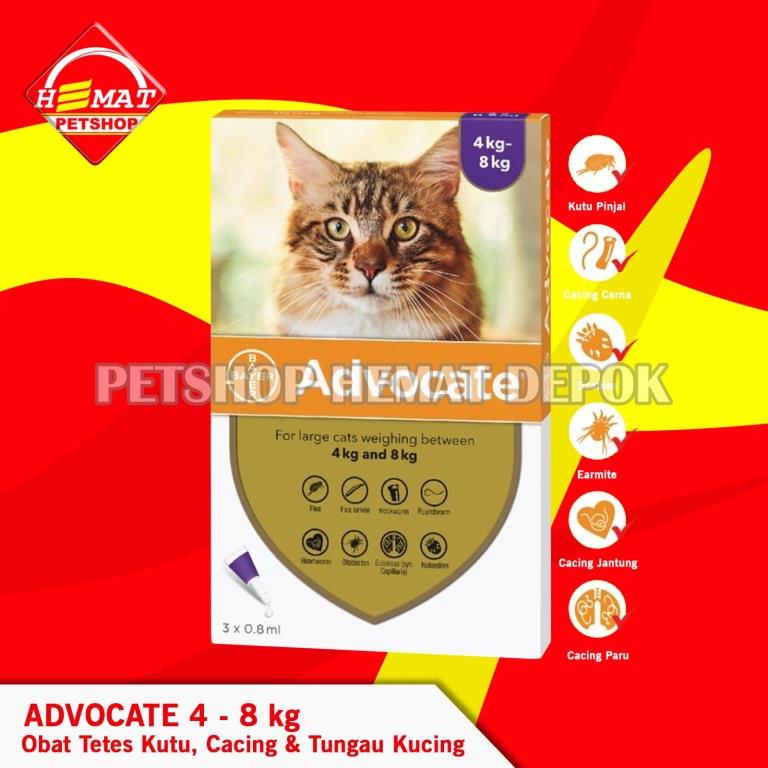 Obat Tetes Kutu Cacing Tungau Flea Scabies Kucing Advocate 4 – 8 KG