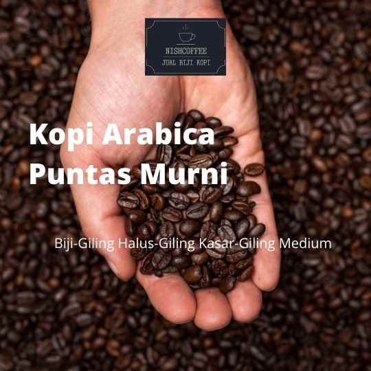 

KOPI ARABICA PUNTANG MURNI
