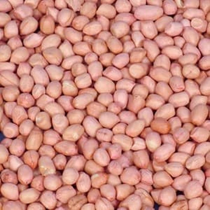 

Kacang Tanah Kulit 1 kg