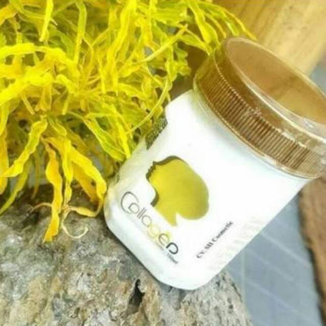 Bibit Collagen CV SH Cosmetic