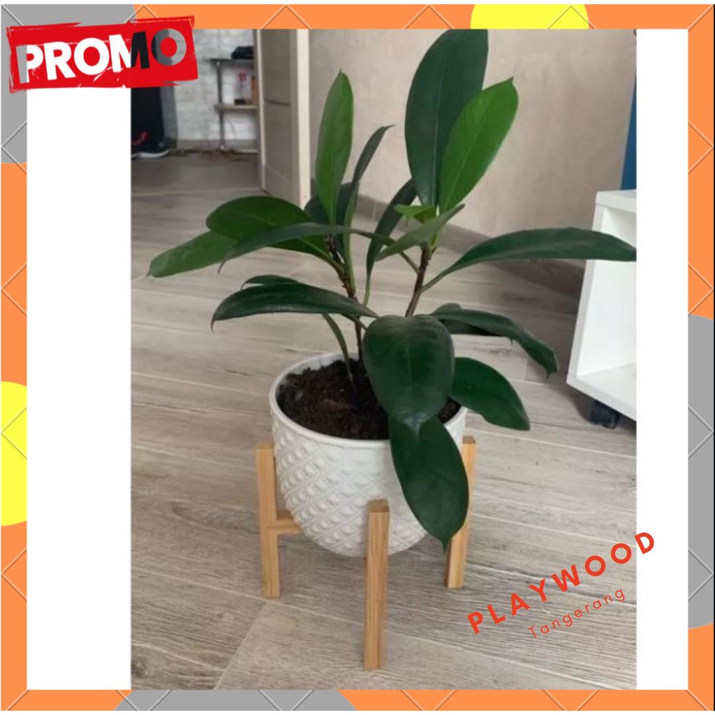 PROMO pot holder / rak kayu tempat pot tanaman  / standing planter minimalis