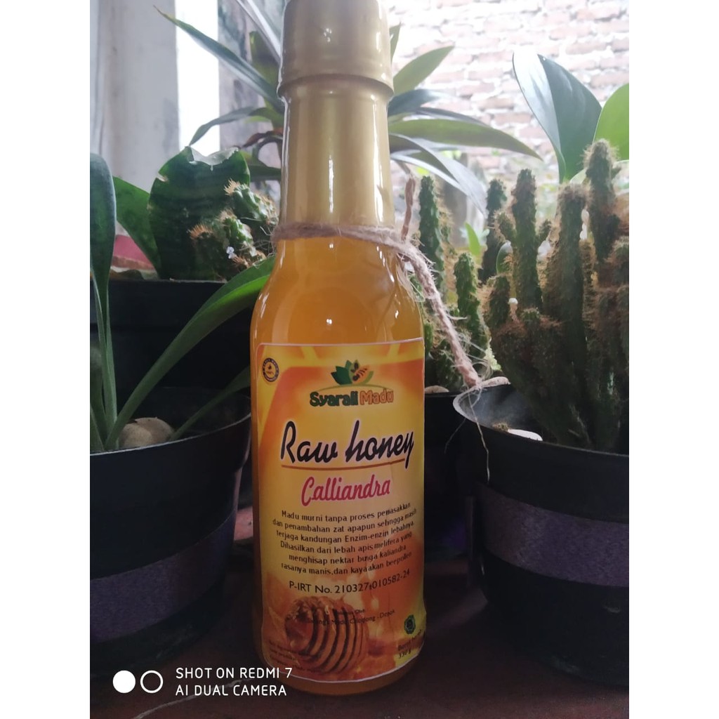 

Madu asli Kaliandra raw honey 330 gr