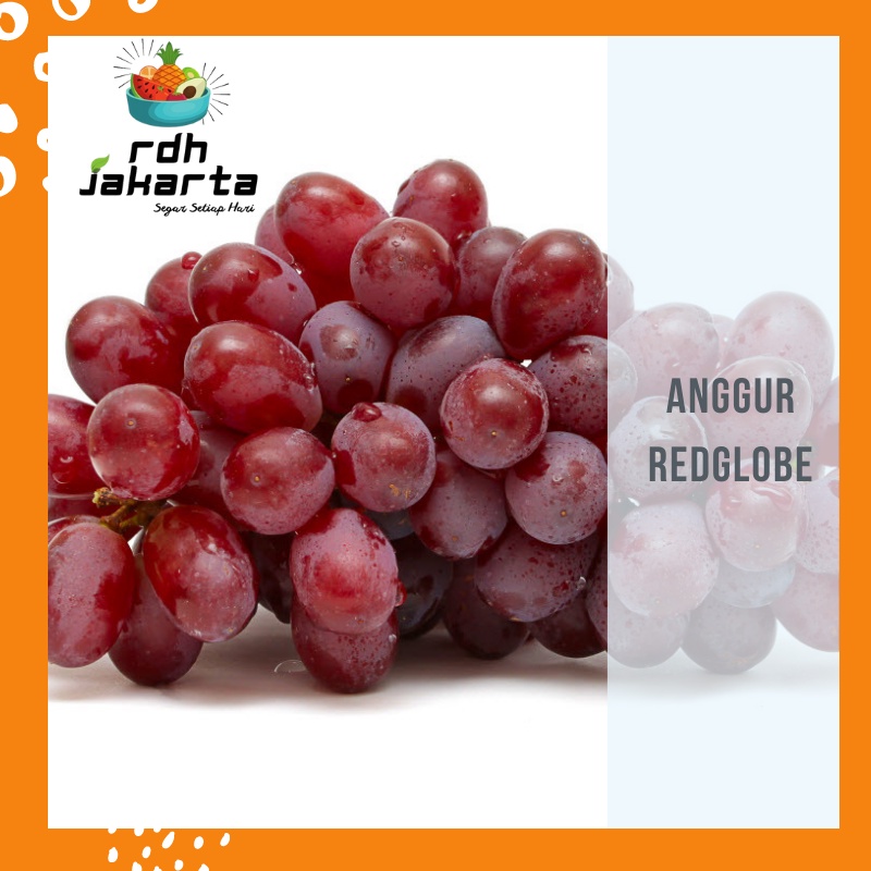 

BUAH ANGGUR MERAH RED GLOBE BUAH SEGAR ANGGUR PER 500GRAM SEGAR FRESH