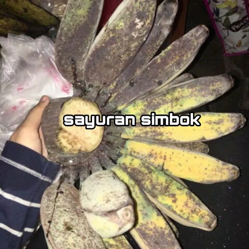 

Pisang kepok kuning segar satu sisir