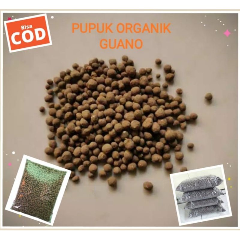 PUPUK ORGANIK GUANO, PUPUK GUANO, PUPUK ORGANIK