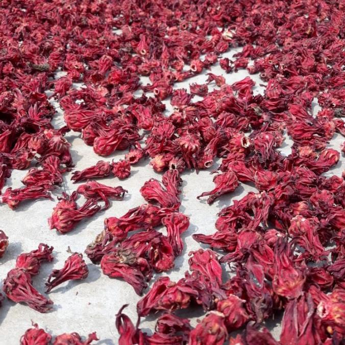 

(BISA COD) ROSELA MERAH TEH BUNGA ROSELA 1 KG BERSIH KERING SEGAR PANEN TERBARU TERMURAH Kode 678