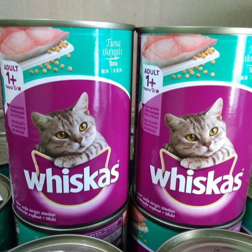 Harga Makanan Kucing Basah Terbaru Juli 2021  BigGo Indonesia