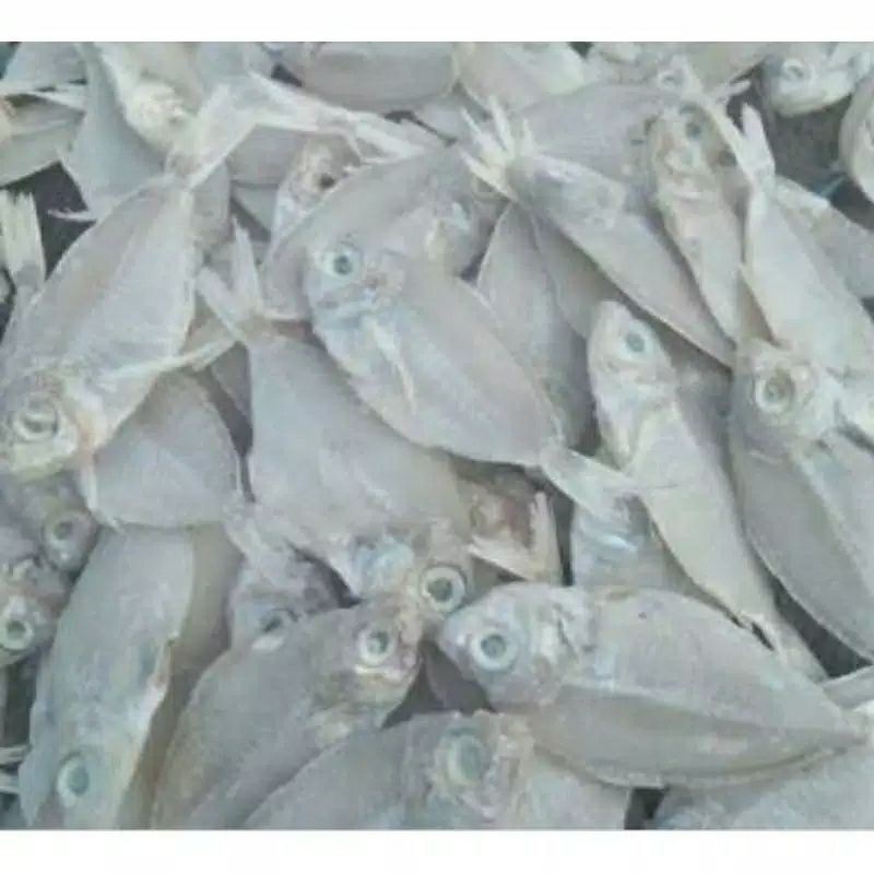 

Ikan Asin Kapasan 1 Kg