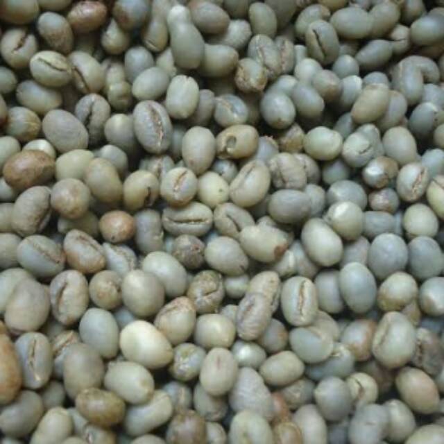 

Kopi gayo