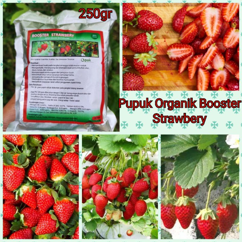 Booster Strawberry / Pupuk Organik Perangsang buah strobery / Pupuk Organik Perangsang buah strobery