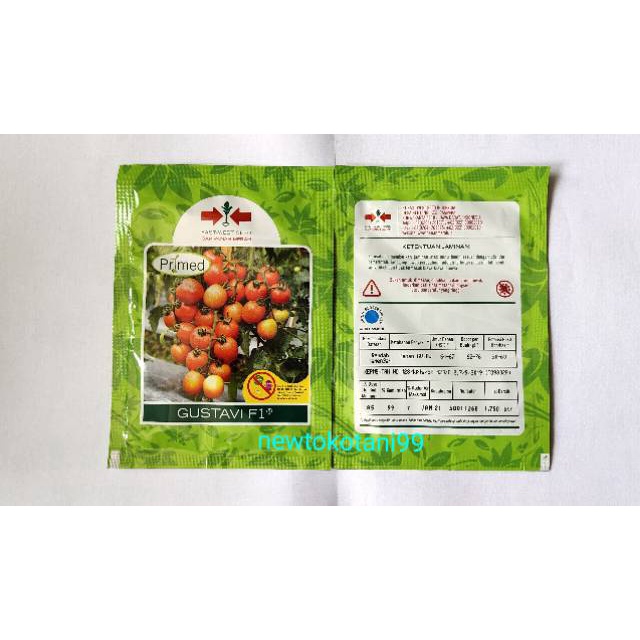 Benih tomat GUSTAVI F1 1750 butir tomat hibrida dari panah merah-1