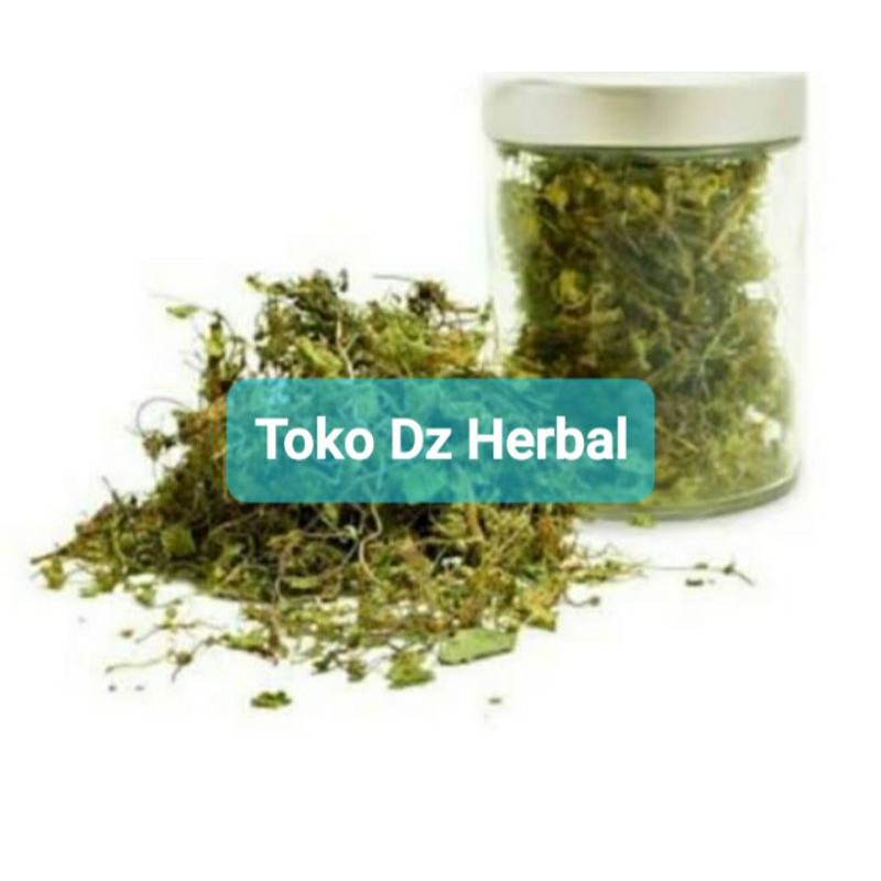 

Paket hemat 250 gram daun pegagan kering-az