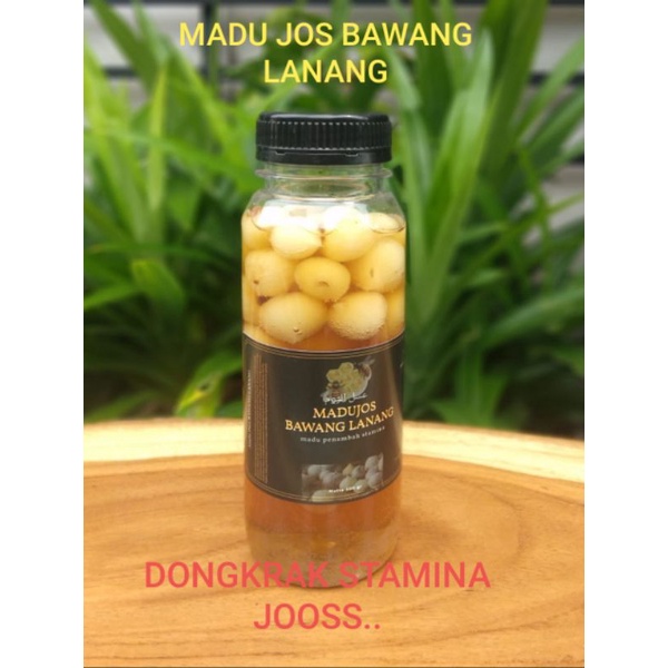 

Madu Bawang Lanang (umbi tunggal)