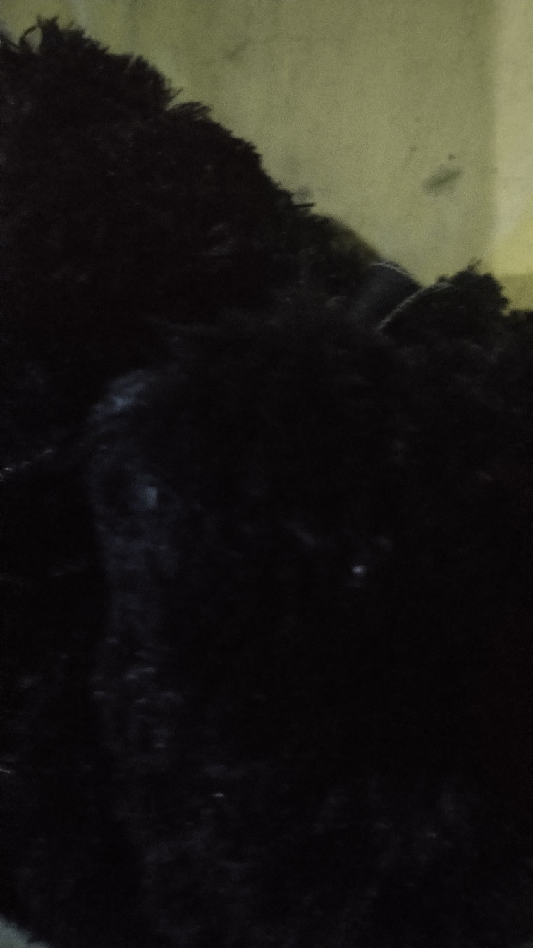 Obral Bantal Polos Bahan Bulu Rasfur Uk. 35x35cm Full Dacron