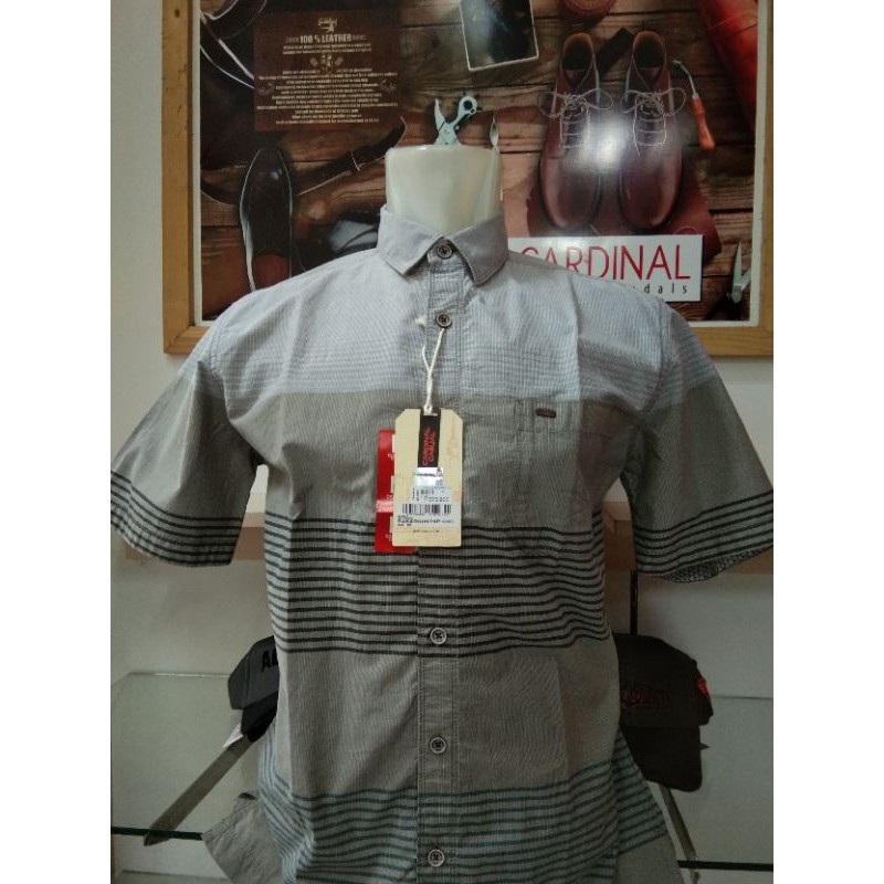 Baju Cardinal Pria Kemeja Pria Cardinal Original 100 Baju Cardinal Pria Kemeja Pria Cardinal Original 100