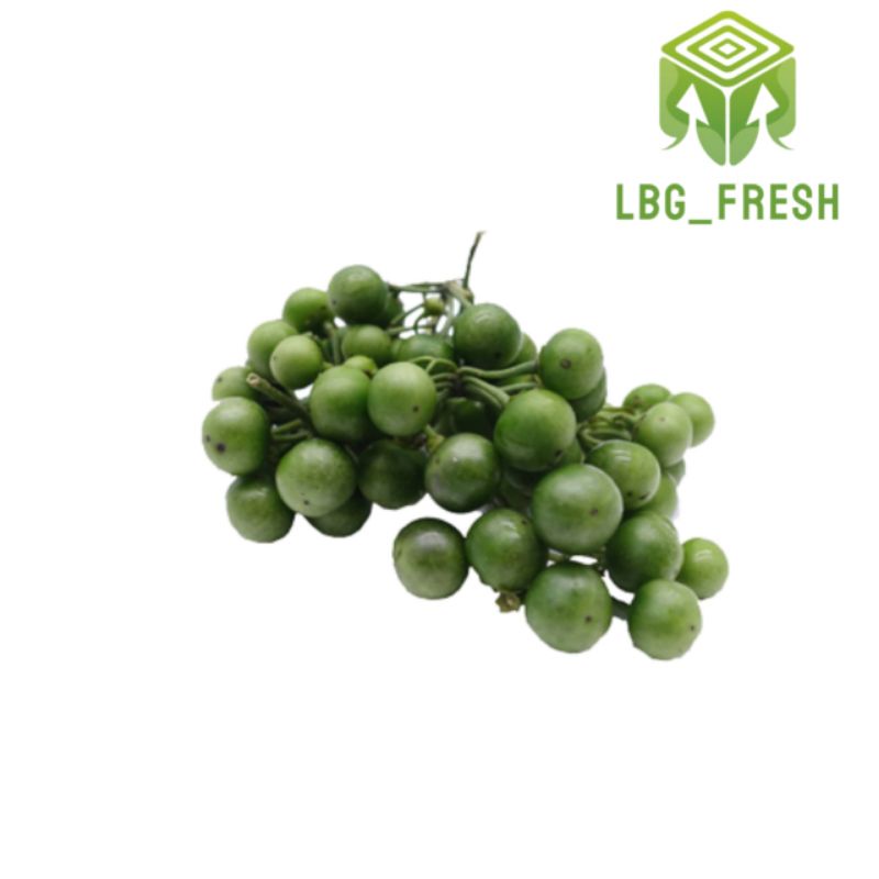 

Leunca 500gr