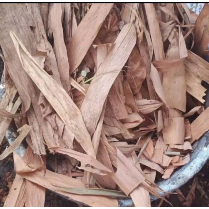 

Daun Bambu Kering 100 gram