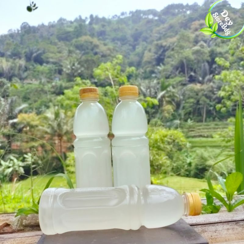 

Jual Air Nira Aren Asli Per 1 liter