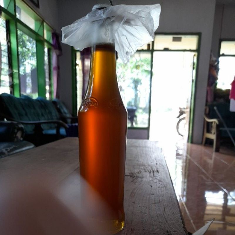 

Madu Klanceng asli