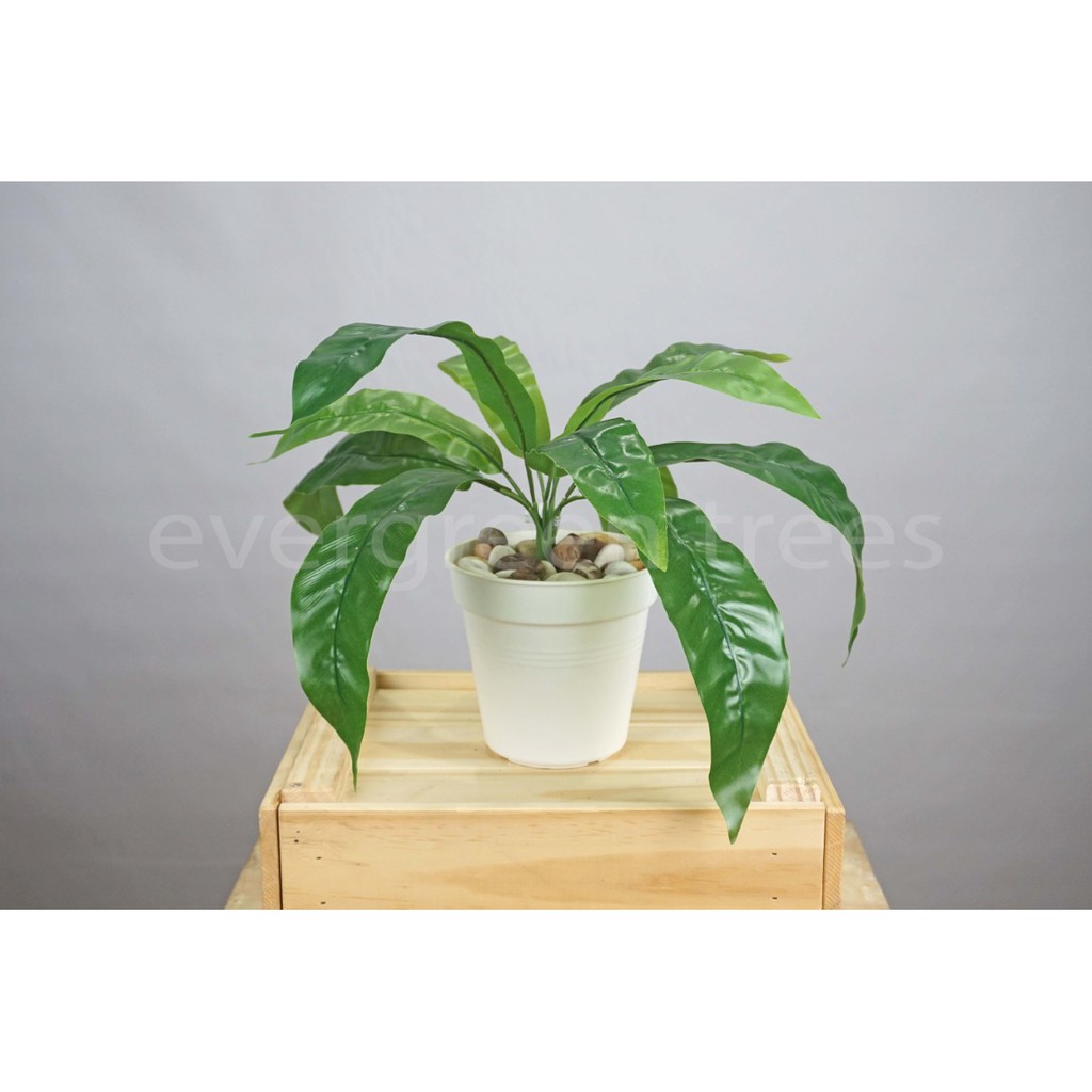 Mini Birdnest MINI BIRDNEST / TANAMAN ARTIFICIAL / DAUN PALSU / TANAMAN PALSU