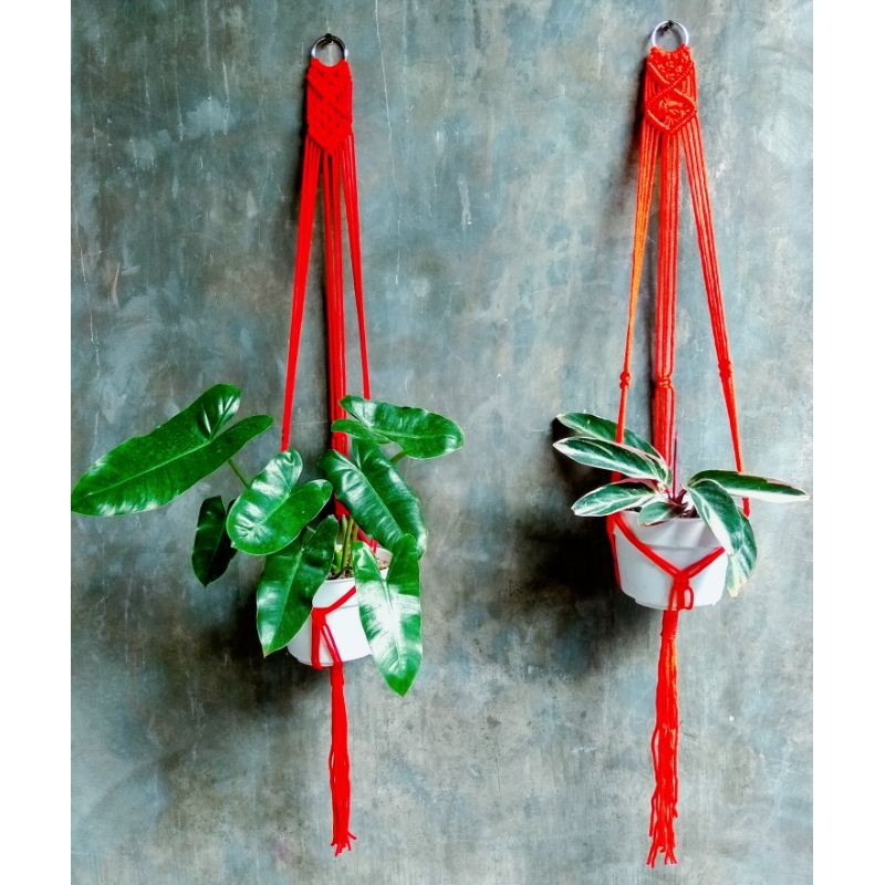 Gantungan pot tali kur