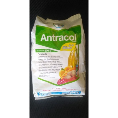 antracol 500 gr