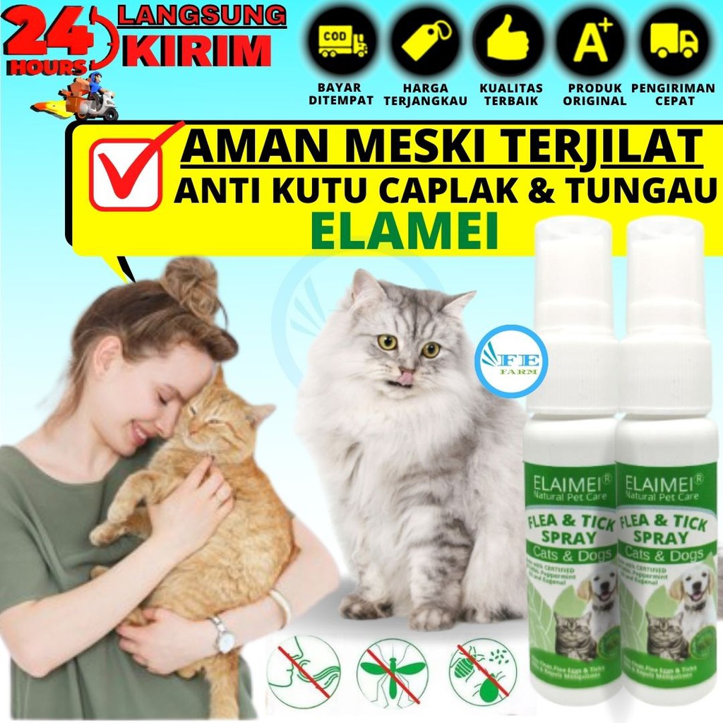 Obat Kutu Kucing Kelinci Anjing Alami Aman Terjilat ELEMAI FEFARM