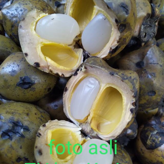 

Kolang kaling muda segar fresh 500gr