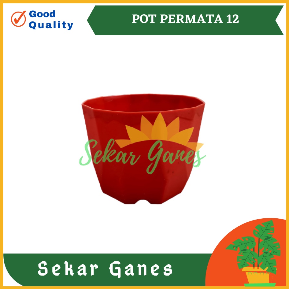 Pot Permata 12 Da 10.5cm Putih Merah Biru Hijau Ivory Pot Kaktus Mini Murah Bkn Pot Tawon 10 12