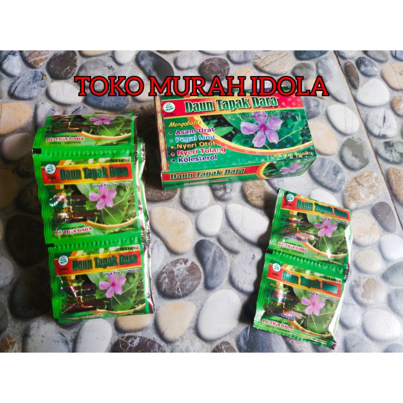 

Daun Tapak Dara Kolesterol