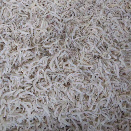 

Best Seller!! (fph-770) Ikan Asin Teri Medan SUPER 250 gr / Teri Putih / Teri Nasi