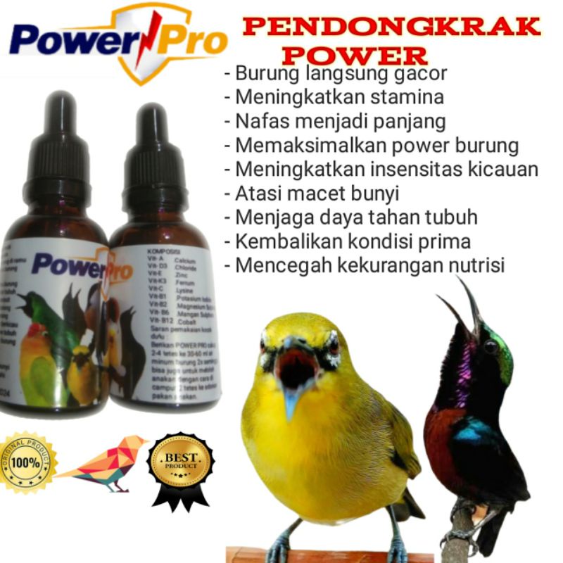 vitamin murai batu doping pleci konin kolibri ninja suplemen multivitamin penggacor burung
