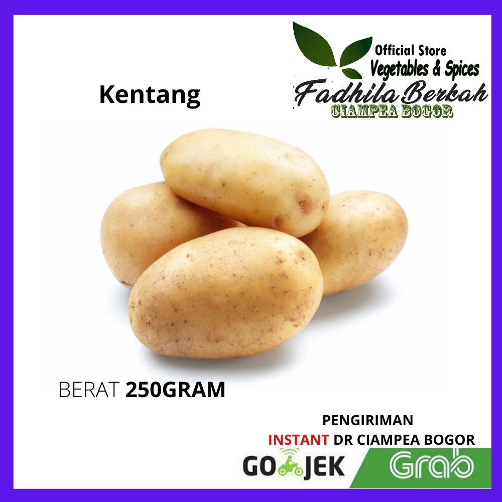 

Kentang dieng curah sedang besar Pasar warung Sayur Sayuran sayurmayur Segar fresh Makanan kuliner beku frozen Online Freshmart Bogor