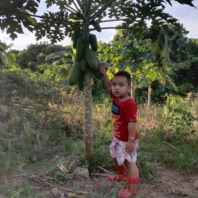 carmensangpemburu84792