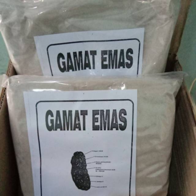 Serbuk Gamat emas/tripang laut