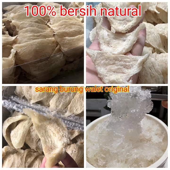 sarang burung walet atau YENWO original BERSIH mangkok / segi SUPER Bird's Nest 5gram