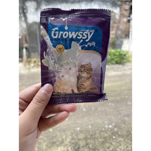 susu untuk kitten / susu kucing